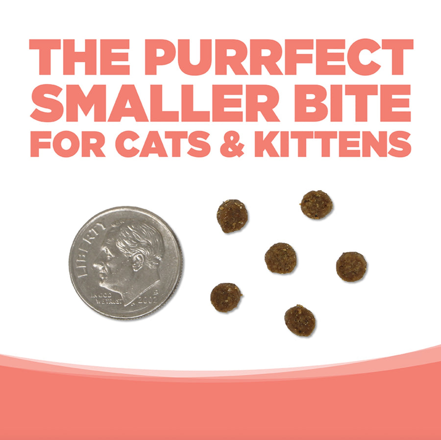 NutriSource Grain Free Ocean Select Entree Dry Cat Food kibble size.
