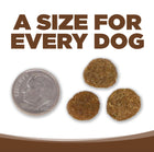 A size for every dog. Kibble approximately 2/3rds size of a dime.