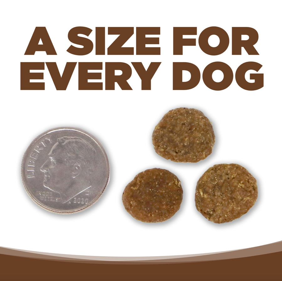 A size for every dog. Kibble approximately 2/3rds size of a dime.