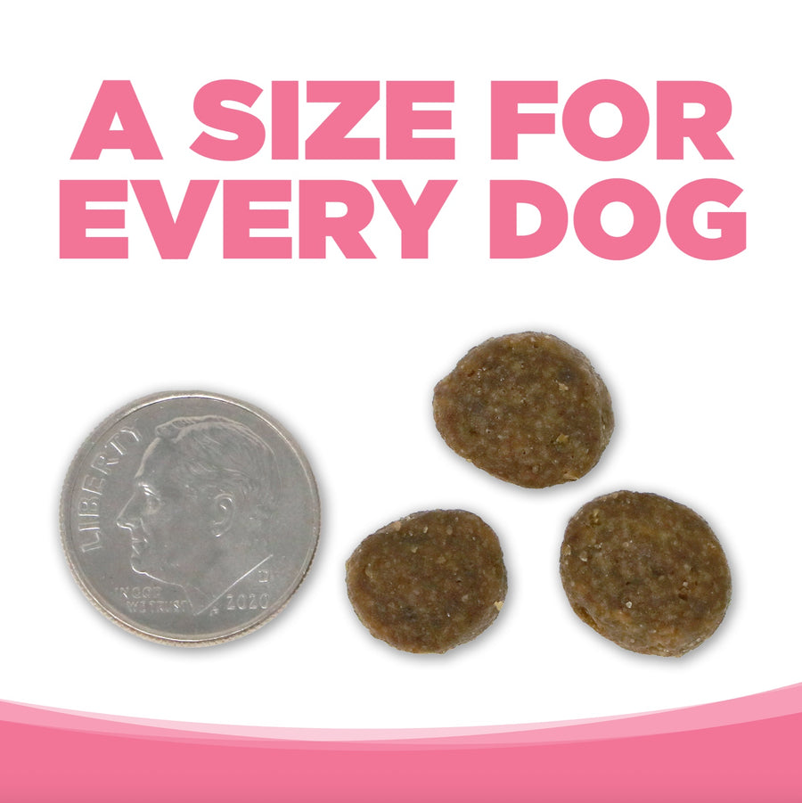 A size for every dog. Kibble approximately 2/3rds size of a dime.