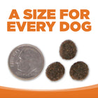 A size for every dog. Kibble approximately 2/3rds size of a dime.