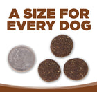 A size for every dog. Kibble approximately 2/3rds size of a dime.
