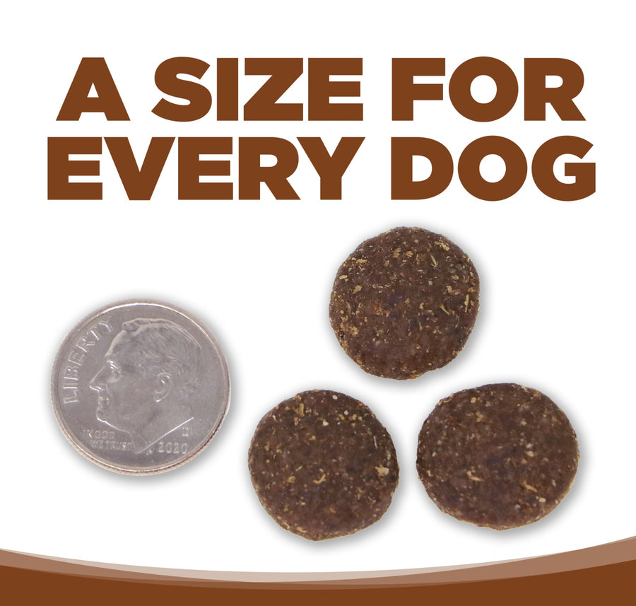 A size for every dog. Kibble approximately 2/3rds size of a dime.
