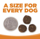 A size for every dog. Kibble approximately 2/3rds size of a dime.

