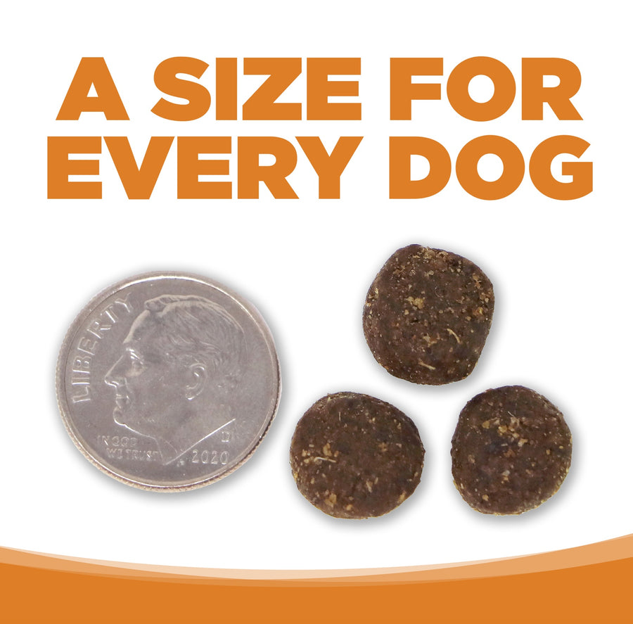 A size for every dog. Kibble approximately 2/3rds size of a dime.
