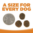 A size for every dog. Kibble approximately 2/3rds size of a dime.