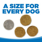 A size for every dog. Kibble approximately 2/3rds size of a dime.