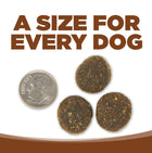 A size for every dog. Kibble about the size of a dime.