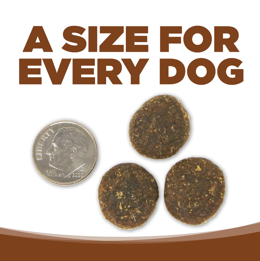 A size for every dog. Kibble about the size of a dime.