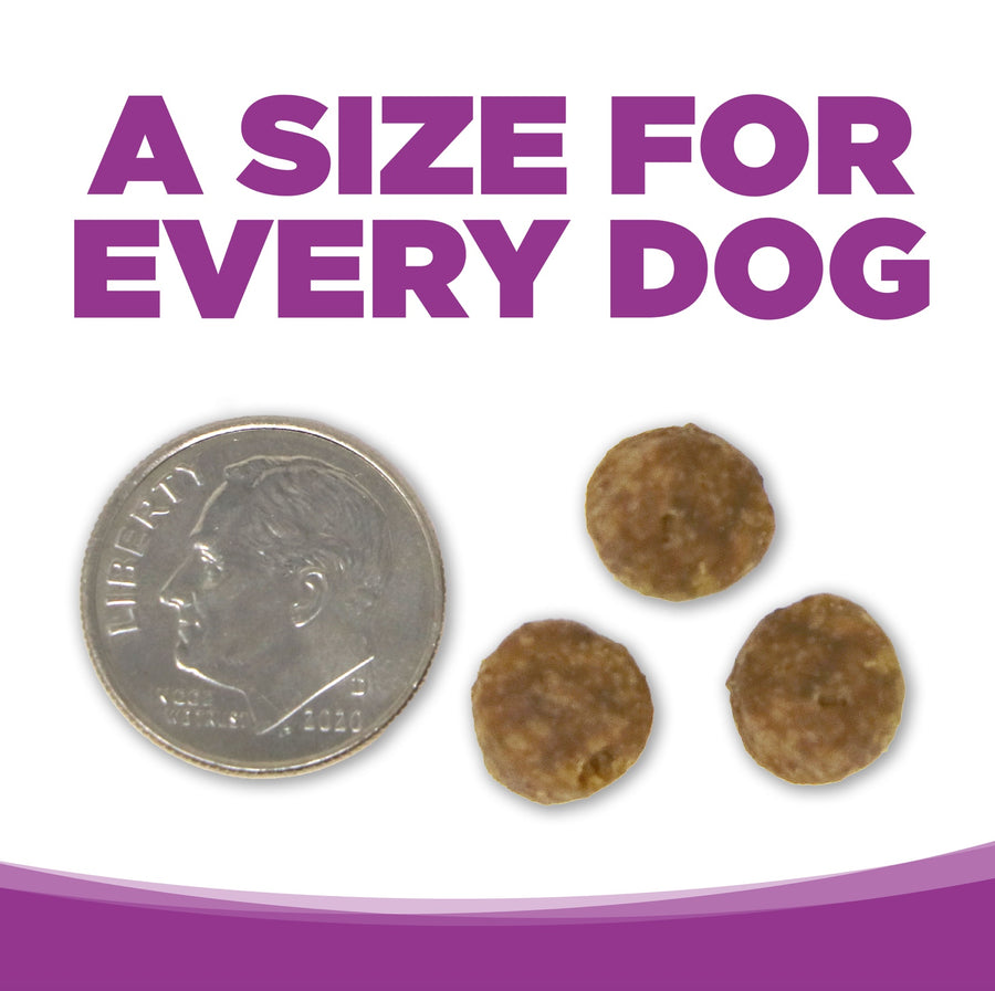 A size for every dog. Kibble approximately 2/3rds size of a dime.