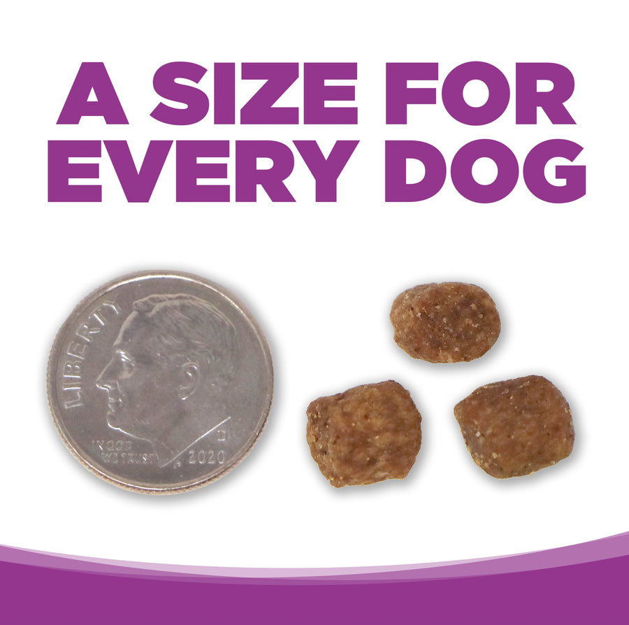 A size for every dog. Kibble approximately 2/3rds size of a dime.