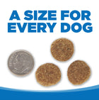 A size for every dog. Kibble approximately 2/3rds size of a dime.

