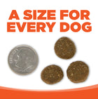 A size for every dog. Kibble approximately 2/3rds size of a dime.