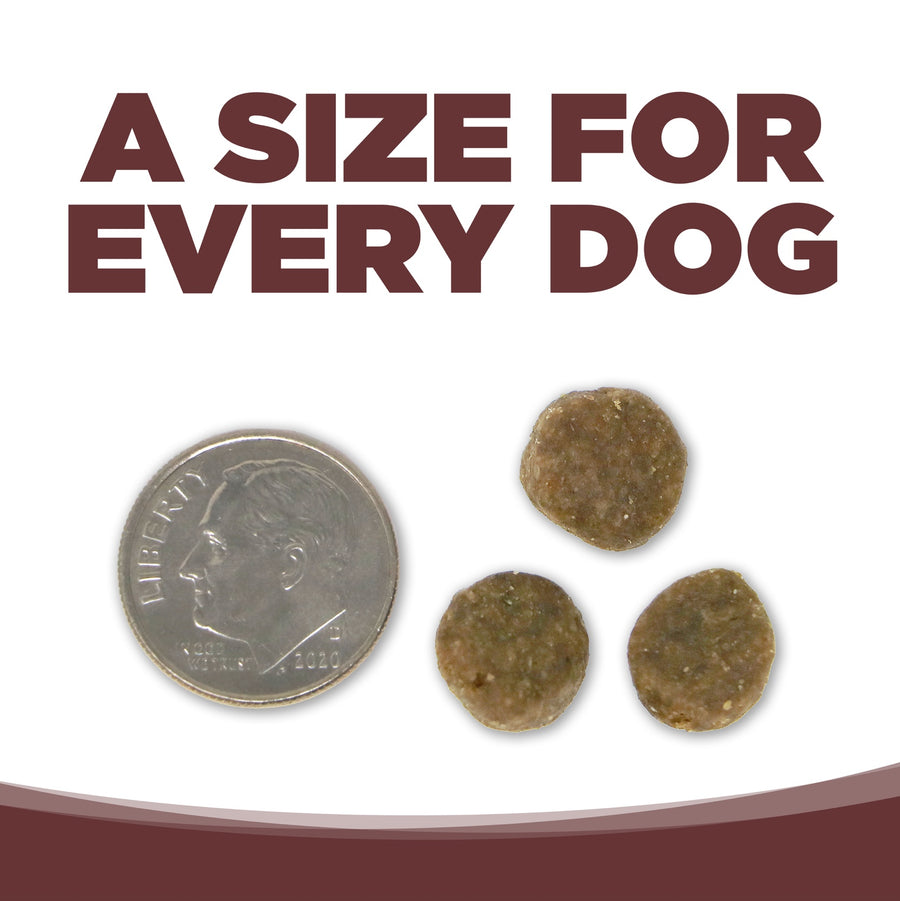A size for every dog. Kibble approximately 2/3rds size of a dime.