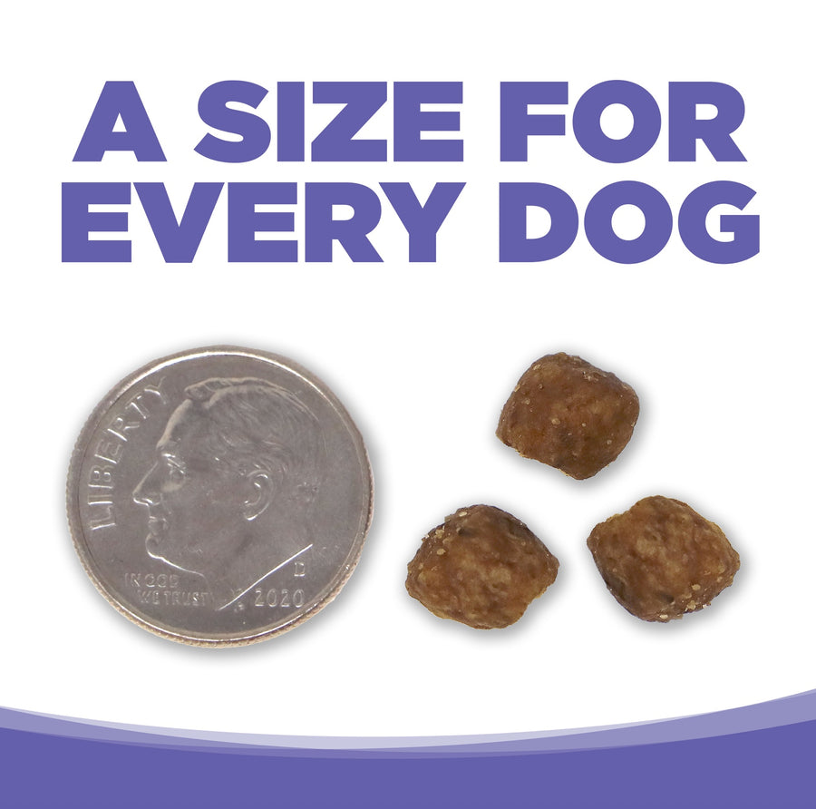 A size for every dog. Kibble approximately 2/3rds size of a dime.
