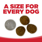 A size for every dog. Kibble approximately 2/3rds size of a dime.
