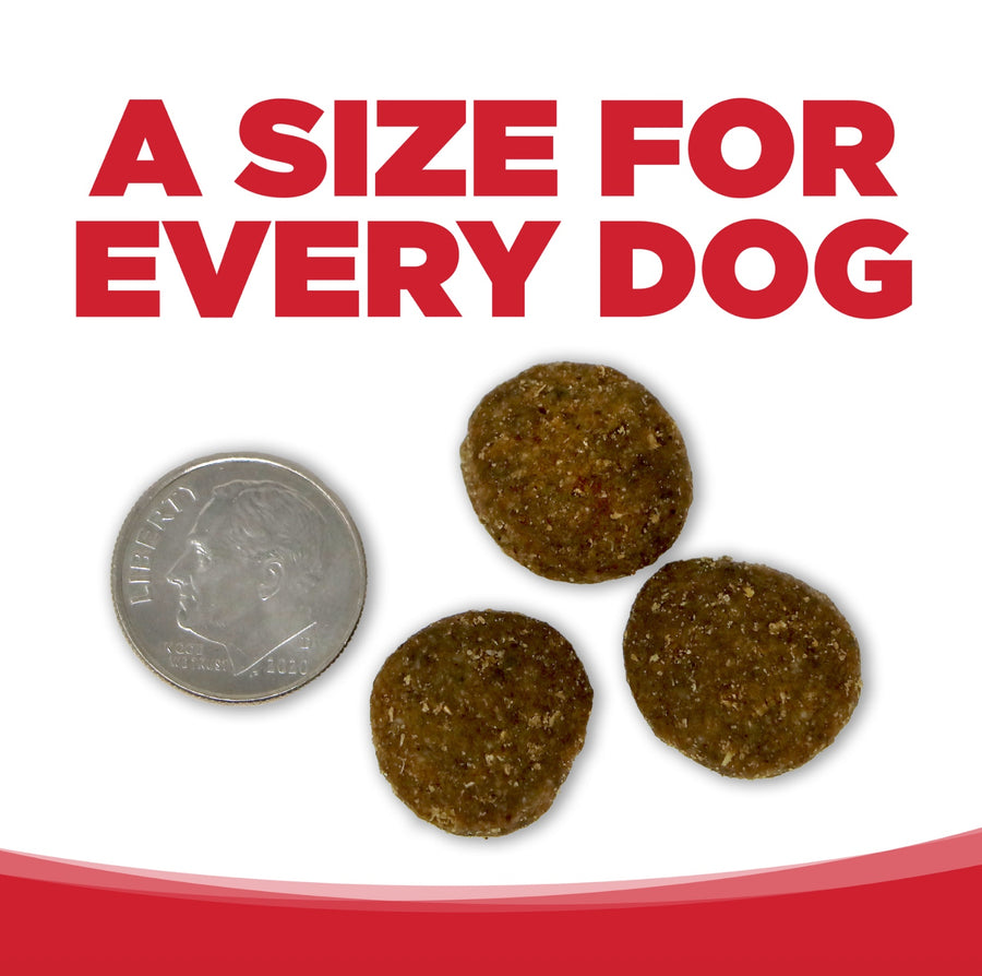 A size for every dog. Kibble approximately 2/3rds size of a dime.

