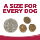 A size for every dog. Kibble approximately 2/3rds size of a dime.