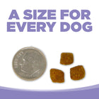 A size for every dog. Kibble approximately 2/3rds size of a dime.