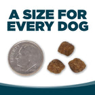 A size for every dog. Kibble approximately 2/3rds size of a dime.
