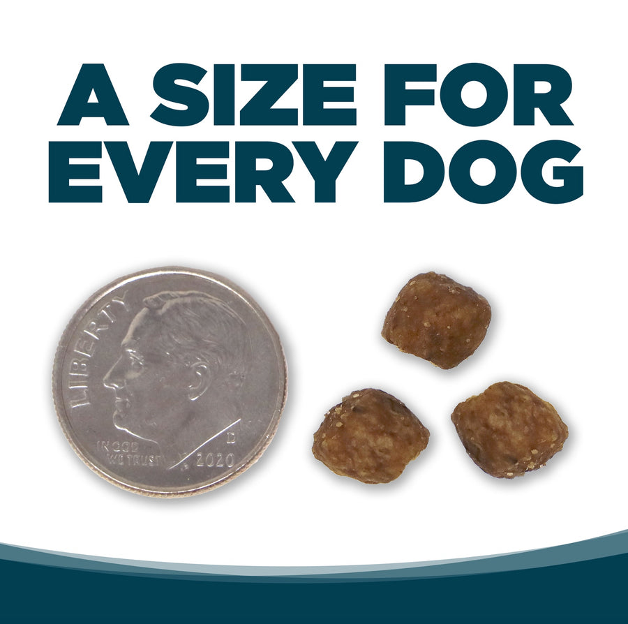 A size for every dog. Kibble approximately 2/3rds size of a dime.
