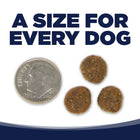 A size for every dog. Kibble approximately 2/3rds size of a dime.
