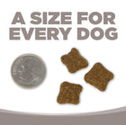 A size for every dog. Kibble approximately 2/3rds size of a dime.