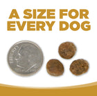 A size for every dog. Kibble approximately 2/3rds size of a dime.