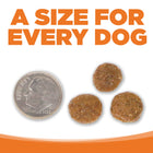 A size for every dog. Kibble approximately 2/3rds size of a dime.