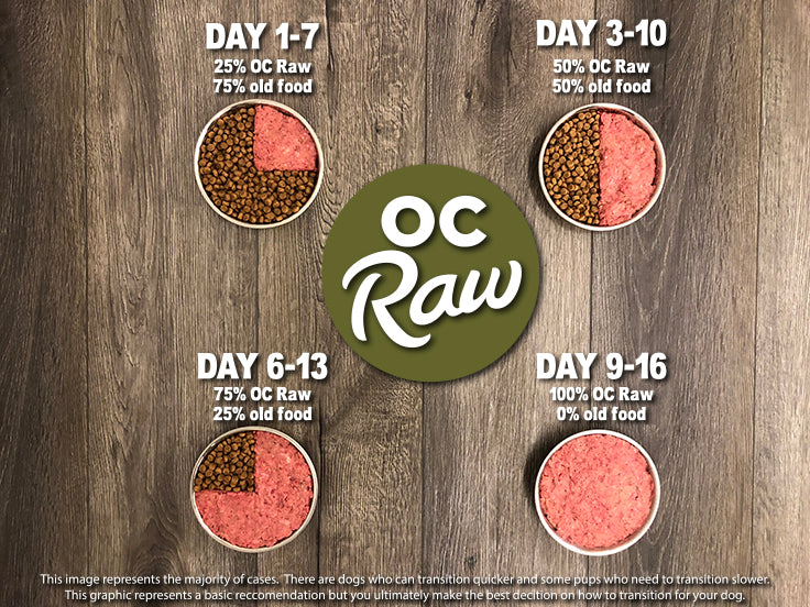 Transition of OC Raw Turkey & Produce Frozen Raw Dog Food  Recommendation