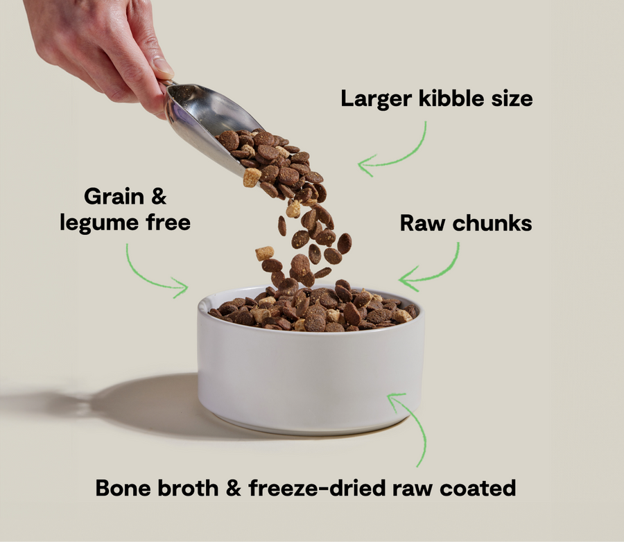 Open Farm RawMix Large Breed Grain-Free Chicken, Turkey, and Salmon Formula Dry Dog Food