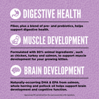 ORIJEN Chicken, Turkey, and Salmon Formula Kitten Food helps with Digestive health, Muscle development and Brain development