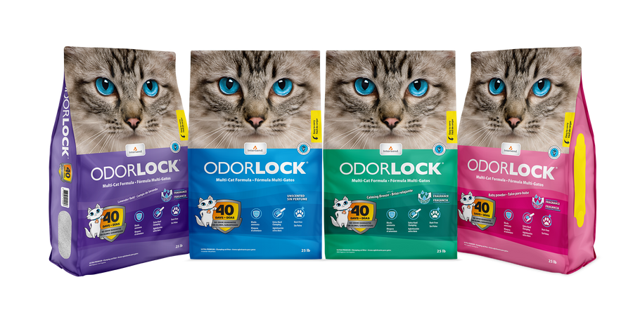 Intersand OdorLock Ultra Premium Baby Powder Scented Multi-Cat Litter Formula