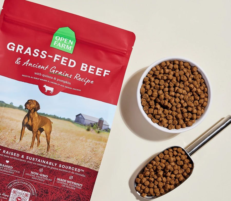 Open Farm Beef and Ancient Grains Dry Dog Food Serving