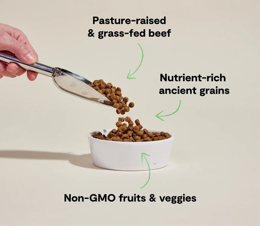 *Pasture-raised & grass-fed beef
*Nutrient-rich ancient grains
*Non-GMO fruits & veggies