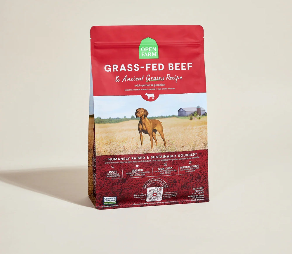 Open Farm Beef and Ancient Grains Dry Dog Food front of bag.