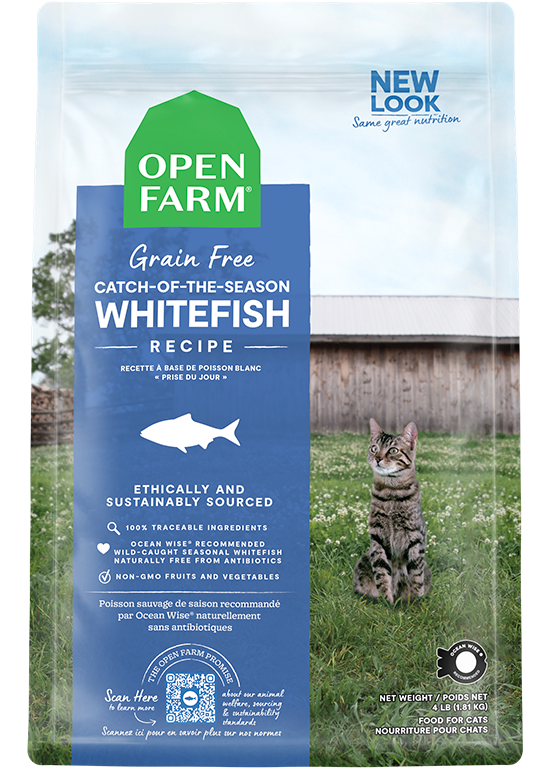Open Farm Catch-of-the-Season Whitefish Grain Free Dry Cat Food 4lb, Front of bag