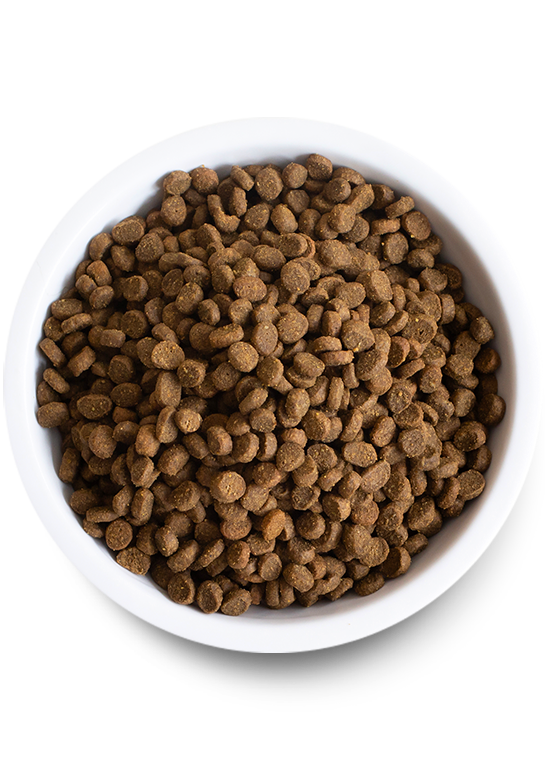 Open Farm Catch-of-the-Season Whitefish Grain Free Dry Cat Food, Full Bowl