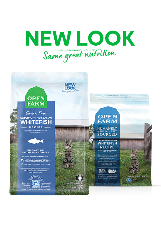 Open Farm Catch-of-the-Season Whitefish Grain Free Dry Cat Food, New Look, Same Great Nutrition