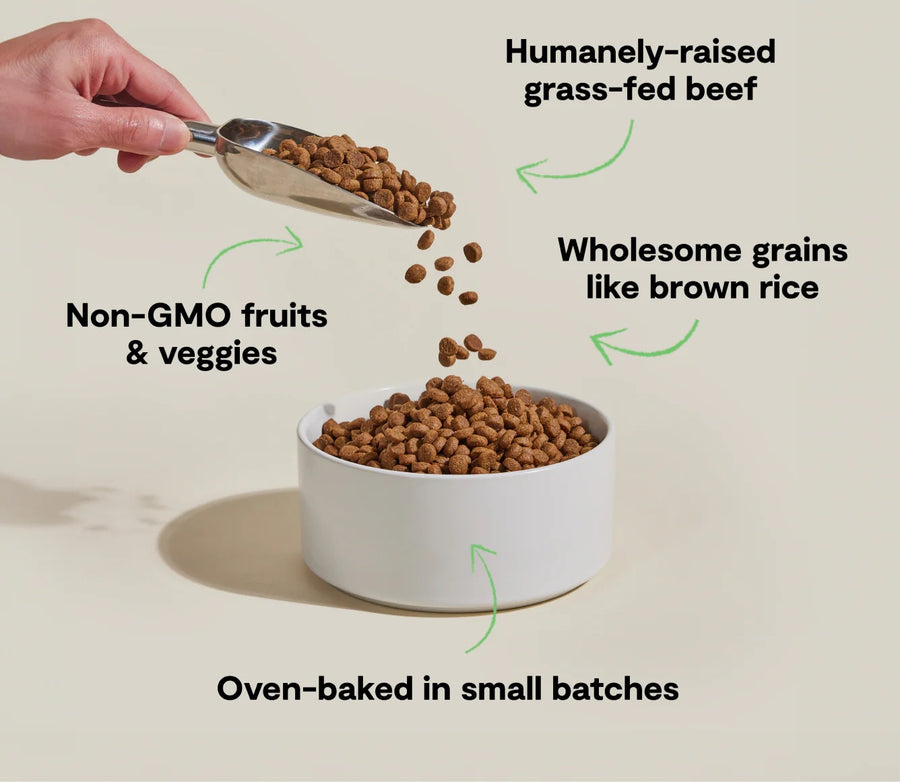 *Humanely-raised grass-fed beef
*Wholesome grains like brown rice
*Non-GMO frits and veggies
*Oven-baked in small batches