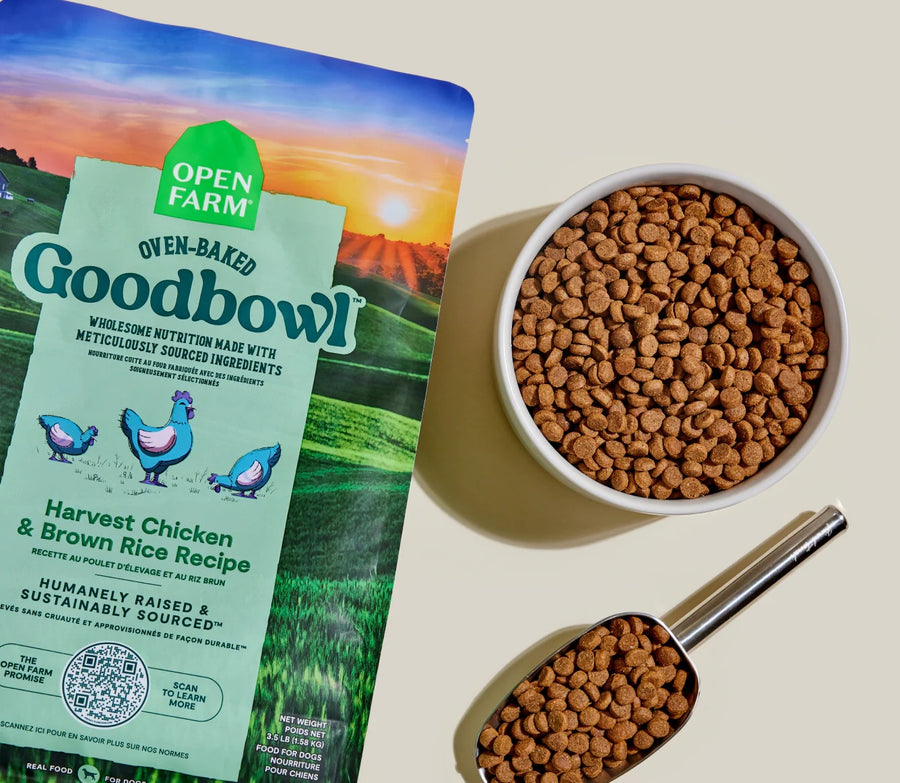 Open Farm Goodbowl Harvest Chicken and Brown Rice Recipe Serving.