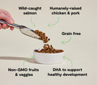 *Wild-caught salmon
*Humanely-raised chicken & pork
*Grain free
*Non-GMO fruits & veggies
*DHA to support healthy development