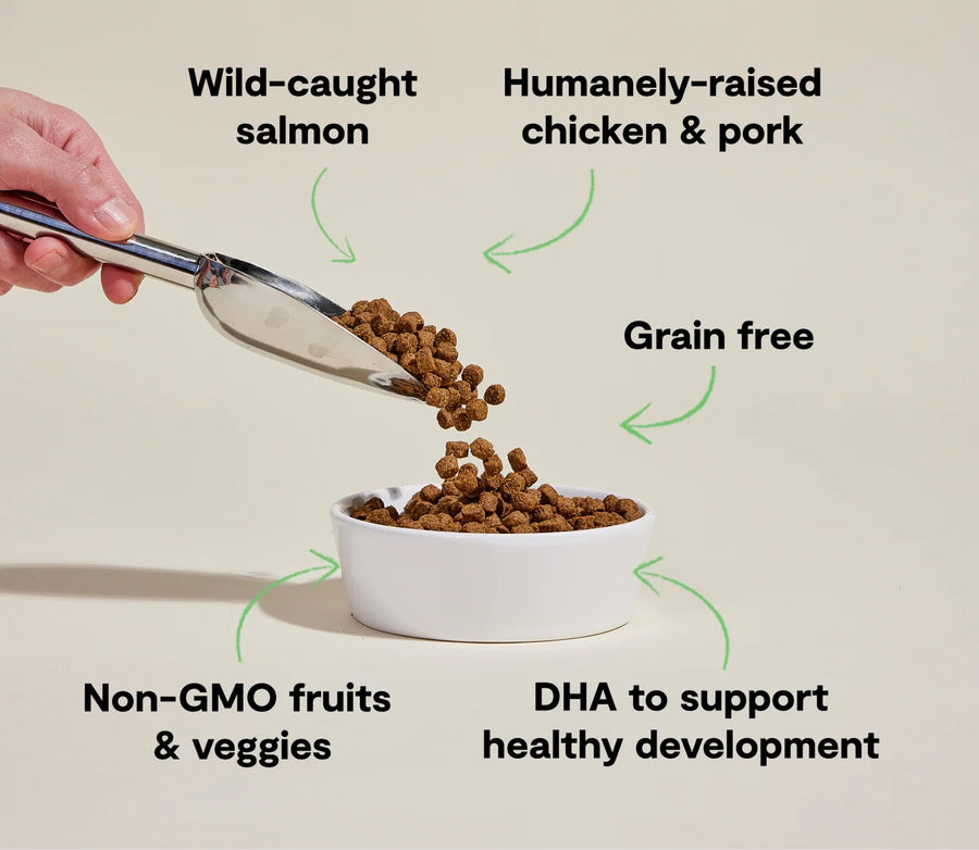 *Wild-caught salmon
*Humanely-raised chicken & pork
*Grain free
*Non-GMO fruits & veggies
*DHA to support healthy development