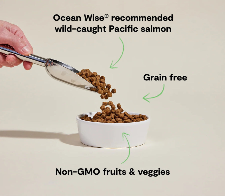 *Ocean wise recommended wild-caught Pacific salmon
*Grain free
*Non-GMO fruits & veggies
