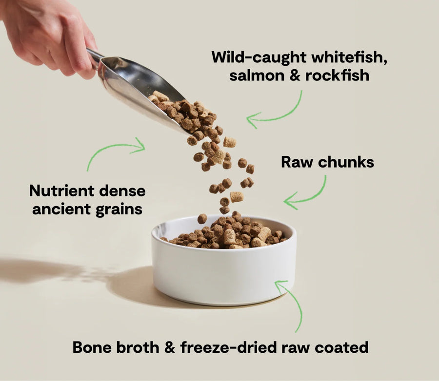 *Wild-caught whitefish, salmon & rockfish
*Raw chunks
*Nutrient dense ancient grains
*Bone broth & freeze-dried raw coated