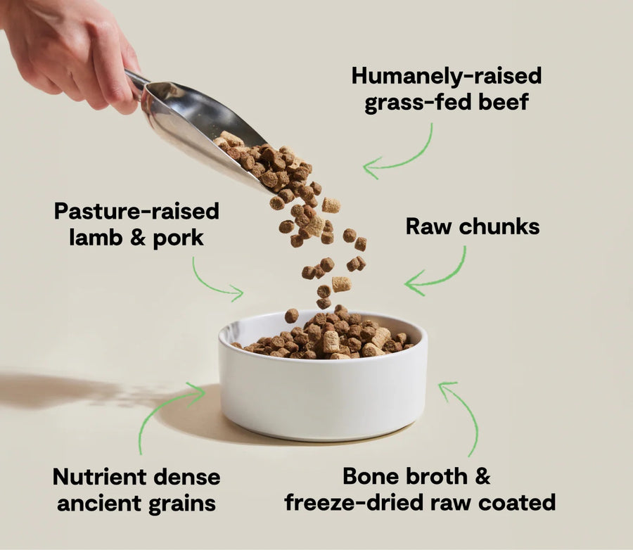*Humanely-raised grass-fed beef
*Raw chunks
*Pasture-raised lamb & pork
*Nutrient dense ancient grains
*Bone broth & freeze-dried raw coated