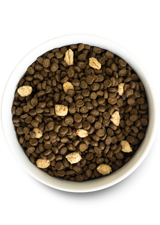 Open Farm RawMix Wild Ocean Grain Free Dry Cat Actual Food.