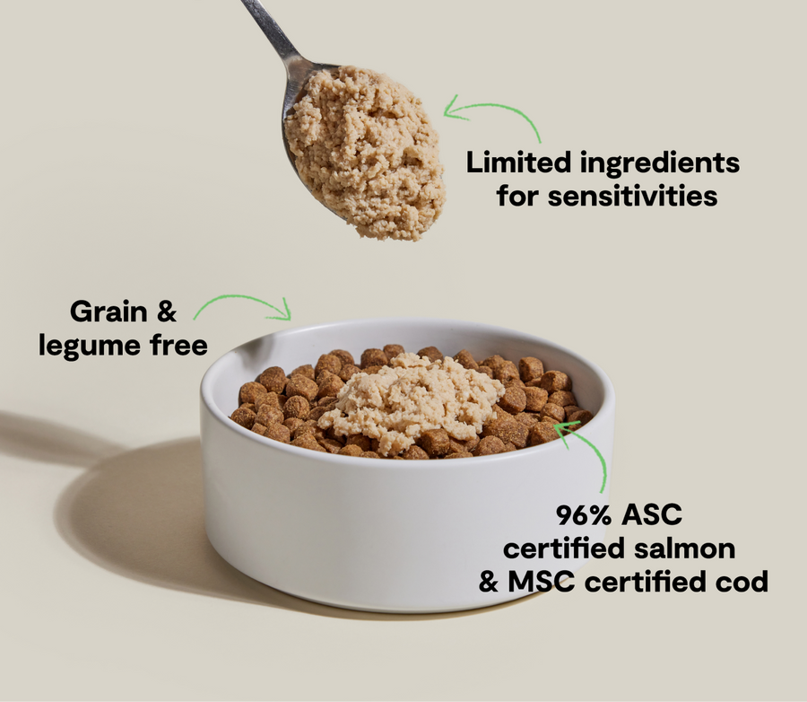 Open Farm Silky Mousse Salmon and Cod Dog Canned Topper Benefits.
