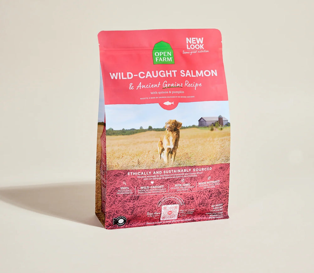 Open Farm Wild Caught Salmon & Ancient Grains Dry Dog Food front of bag.