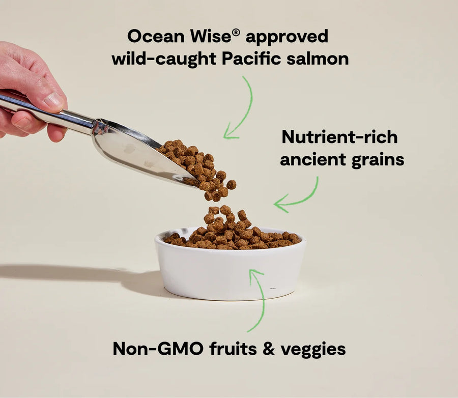 *Ocean Wise approved wild-caught Pacific salmon
*Nutrient-rich ancient grains
*Non-GMO fruits & veggies